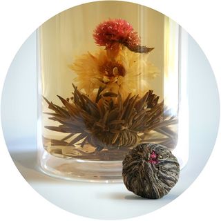 Bloom Flowering Tea - Shooting Star
