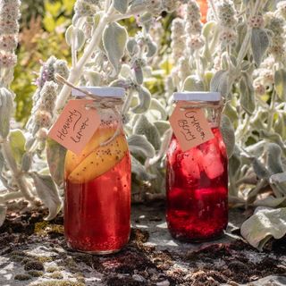 Iced Chia Seed Energy Drink